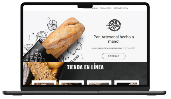 Para Web Xion (3)